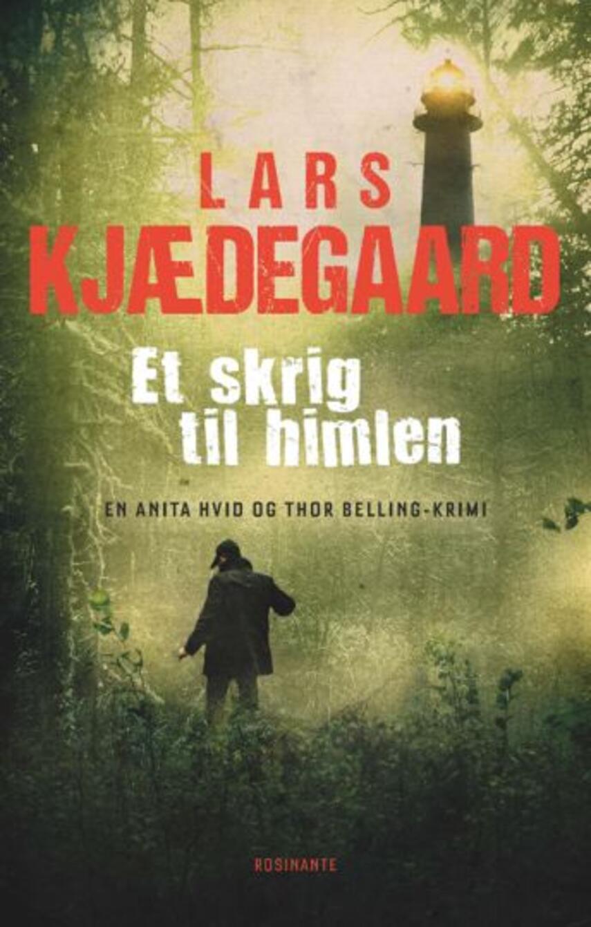 Lars Kjædegaard: Et skrig til himlen